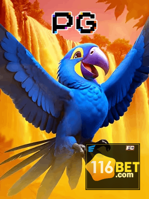 116BET bônus — cashback 15 por cento e níveis VIP