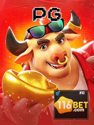 116BET cadastro — tela de formulário no app oficial