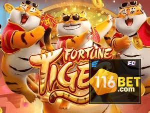 Guia install APK 116BET BR