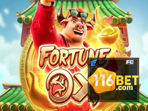 116BET login — painel de entrada no app oficial